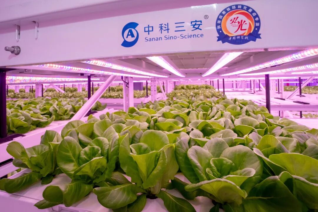 “不打烊”!安溪20余家企业春节这么拼!(图4) “不打烊”!安溪20余家企业春节这么拼!(图4)